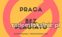 Zawodowe Pisanie i Redagowanie Prac - Bez Plagiatu