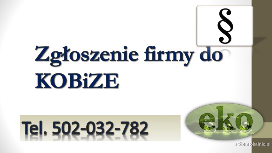 2_zgloszenie_i_raport_firmy_do_kobize_cena.jpg