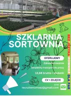 Praca na szklarni bądź sortowni owoców i warzyw