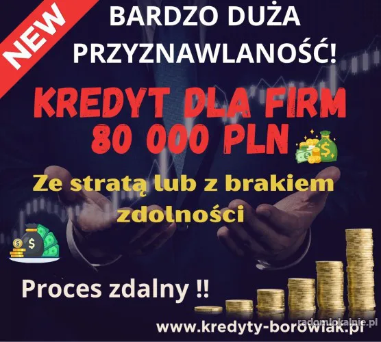 Kredyt dla FIRM 80 000 PLN ze stratą/z brakiem zdolności