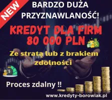Kredyt dla FIRM 80 000 PLN ze stratą/z brakiem zdolności Kredyt dla FIRM 80 000 PLN ze stratą/z brakiem zdolności