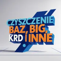 CZYSZCZENIE BAZ BIK, ERIF, KRD I INNYCH CZYSZCZENIE BAZ BIK, ERIF, KRD I INNYCH